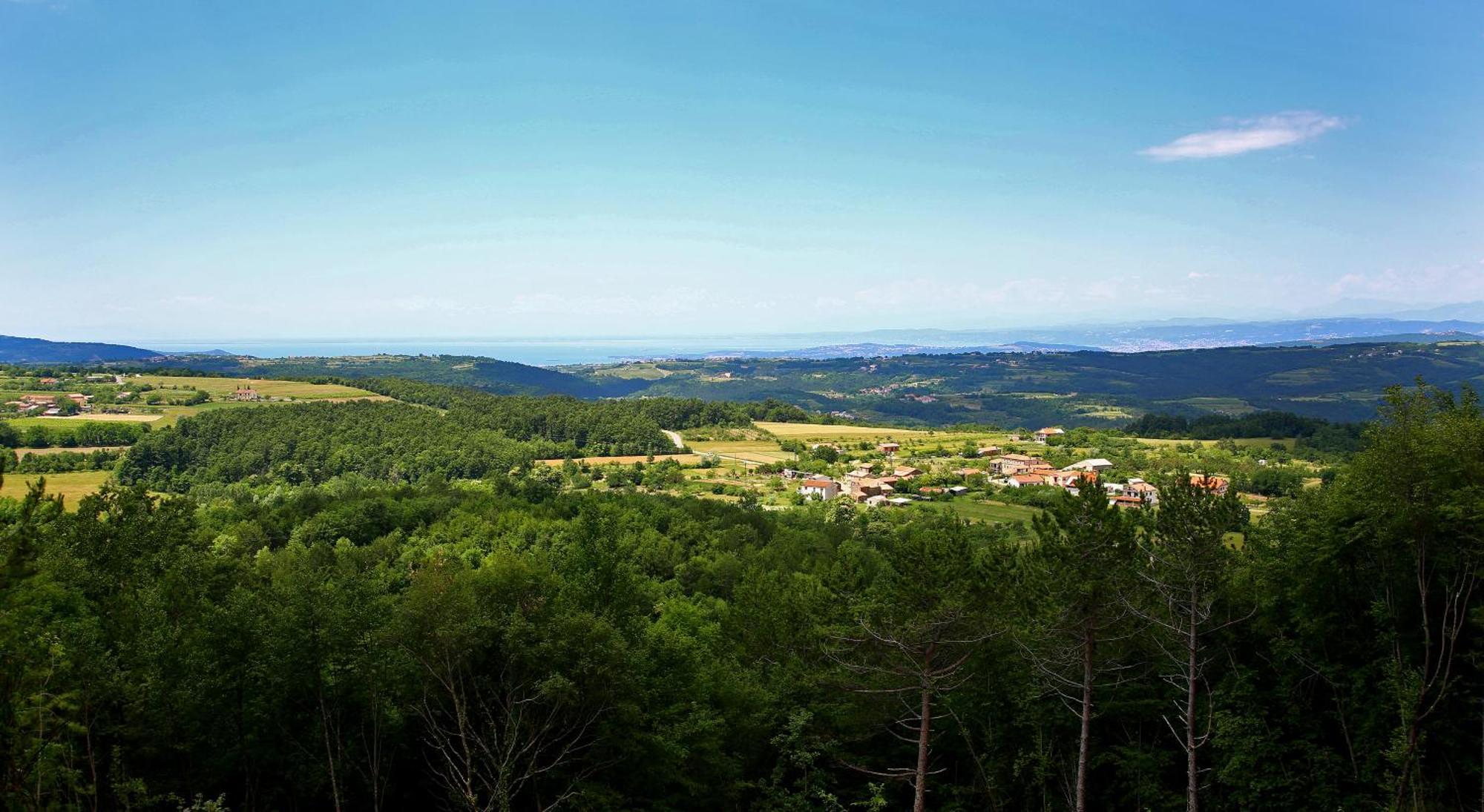 Luxury Villa Gradin Gračišče Extérieur photo